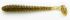 Силикон Keitech Swing Impact 3" 101 Green Pumpkin PP